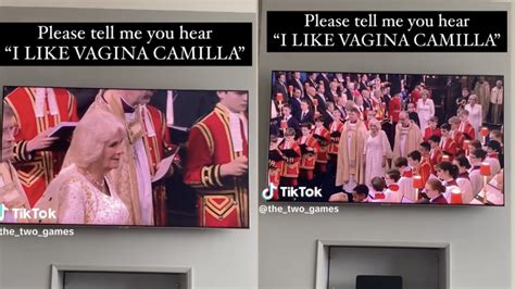 vagina camilla